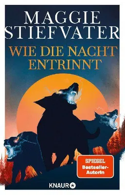 Produktbild von Wie die Nacht entrinnt