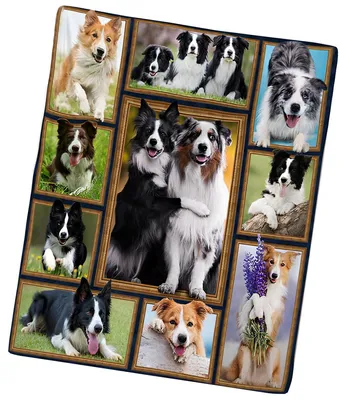 Imagen del producto de Manta suave de microfibra, 130x150 cm - Diseño de Border Collie/2