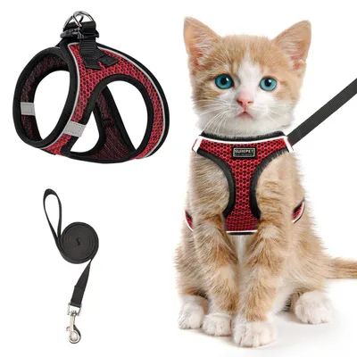 Immagine prodotto di Set di pettorina e guinzaglio per gatti, antiscappamento, regolabile, riflettente, realizzato in rete morbida
