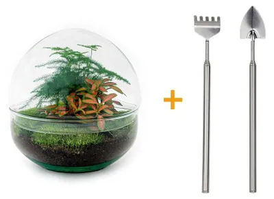 Obrázok produktu pre Sklenená záhradka „Dome“ – sklenená guľa – terárium na rastliny na vlastnú výrobu – výška 20 cm – vrátane hrabiek a lopatky