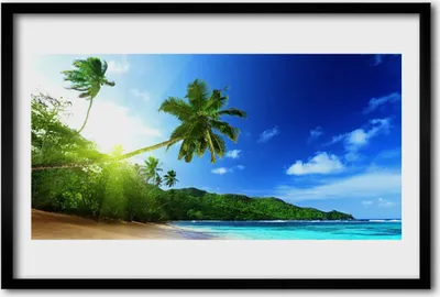 Produktbild von Bild 60x40 MDF-Rahmen Wandkunst Palm Beach Sea Landschaft