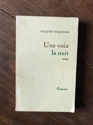 Image de Une voix la nuit