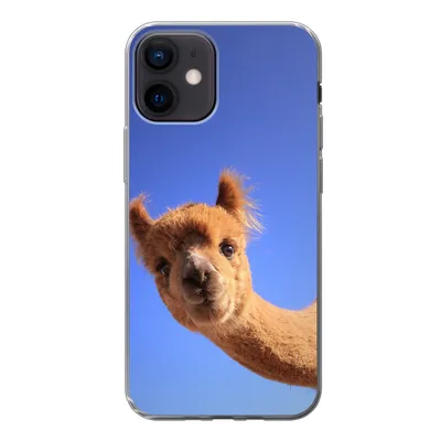 Produktbild von MuchoWow® Handyhülle Schutzhülle Hülle für iPhone 12 Alpaka - Braun - Blau Silikon Softcase Handy Hülle - Schutzhülle