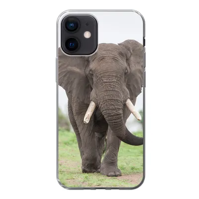 Produktbild von MuchoWow® Handyhülle Schutzhülle Hülle für iPhone 12 Elefant - Tiere - Gras - Natur Silikon Softcase Handy Hülle - Schutzhülle