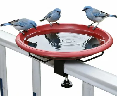 Immagine prodotto di Abbeveratoio per uccelli resistente al gelo, ideale per balcone e giardino, colore marrone, 26 cm