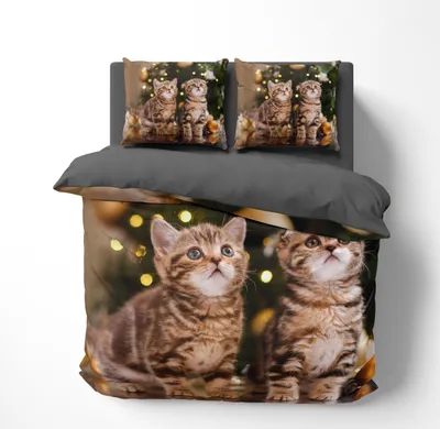 Produktbild von FEBE 3D Bettwäsche Weihnachtskätzchen Weihnachten Bettbezug-Set 135x200 + Kissenbezug 80x80 cm Wendebettwäsche 2 Teilig mit Reißverschluss Mikrofaser Winterbettwäsche Duvet Cover