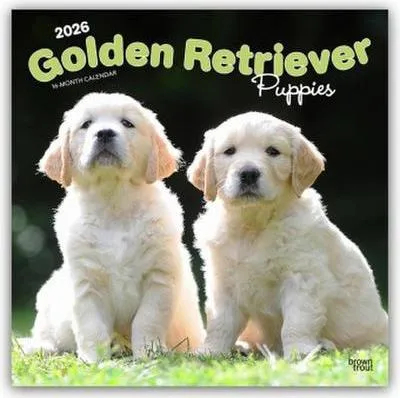 Immagine prodotto di Cuccioli di Golden Retriever - Cuccioli di Golden Retriever 2026 - Calendario 16 mesi