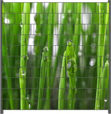 Produktbild von Wallario Zaunsichtschutz mit Motiv Wassertropfen an Grashalmen für Ein- und Doppelstabmatten Zäune in der Größe 200 x 200 cm