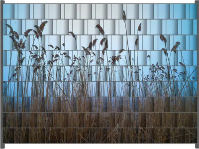 Produktbild von Wallario Zaunsichtschutz mit Motiv Schilfrohr am See vor blauem Himmel für Ein- und Doppelstabmatten Zäune in der Größe 250 x 180 cm