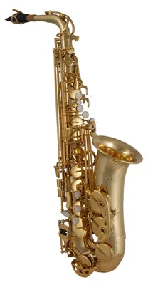Altsaxophon in Es mit Koffer, Studentenmodell, Messing, lackiert