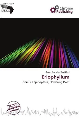 Produktbild von Eriophyllum
