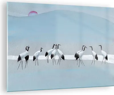 Produktbild von Bilder auf glas - Einteilig - Vögel Kraniche Natur - 70x50cm - Glasbilder - Wandbilder - Bilder - zum Aufhängen bereit - Wanddekoration aus Glas - Glas Bilder - Wandbild auf Glas - GAA70x50-4921