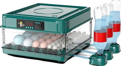 Immagine prodotto di Incubatrice, controllo automatico della temperatura, sistema automatico di rotazione delle uova, alimentazione duale, capacità: 30 uova