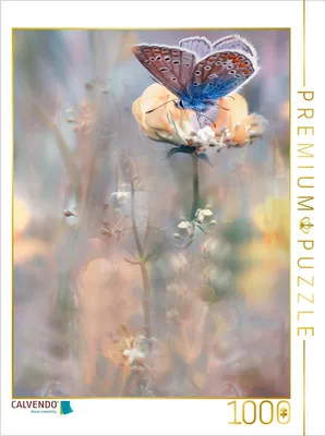 Produktbild von CALVENDO Puzzle Bläuling | 1000 Teile Lege-Größe 64 × 48 cm Foto-Puzzle für glückliche Stunden