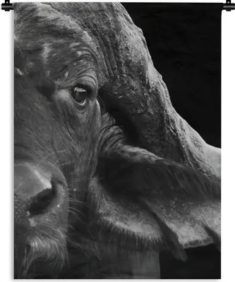 Produktbild von MuchoWow® Wandteppich Wandbehang Büffel - Tiere - Schwarz - Weiß 60x80 cm Tapisserie Dekoration Wandtuch - Decke - Wandtücher - Wohne