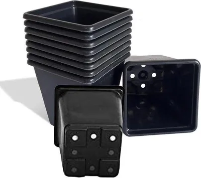 Image de Petits bacs en plastique noirs de 9 cm (lot de 10) - Idéaux pour les plantes, les vivaces et les herbes aromatiques
