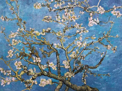 Produktbild von Vincent Van Gogh Kunstdruck Bild - Blühende Mandelbaumzweige, 1890 (60 x 80 cm)