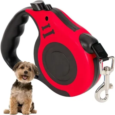 Image de PARENCE. Laisse extensible pour chien, 5 m, robuste