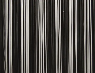 Produktbild von LA TENDA Türvorhang Trento 3 100x230cm