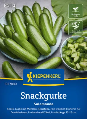 Artikelbild 2 von 'Snackgurke Salamanda F1' aus der Kategorie Gurkensamen
