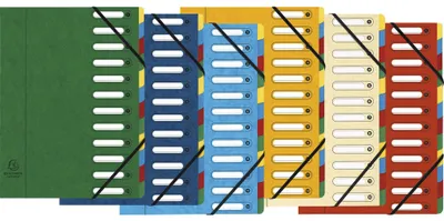 Zdjęcie produktu dla Exacompta 6x teczka HARMONIKA karton elastyczny 12 kieszeni A4 różne 5312E