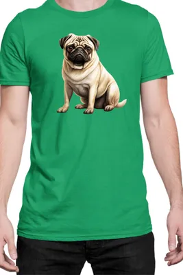 Immagine prodotto di Maglietta da uomo Dogs Breeds Pug Dog Breed 008, Man L , Vert