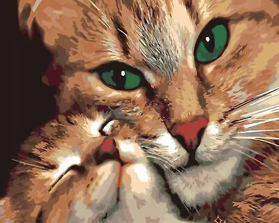Produktbild von 50x40 cm Malen nach zahlen Set mit Holzrahmen Katze mit Kätzchen