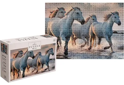 Image de INTERDRUK Puzzle Chevaux sauvages 4 : Chevaux sauvages 1000 pièces