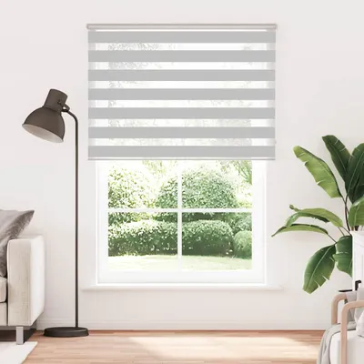Obrázek produktu pro vidaXL Dvojitá roletka, světle šedá, 165 x 230 cm, šířka látky 160,9 cm, polyester
