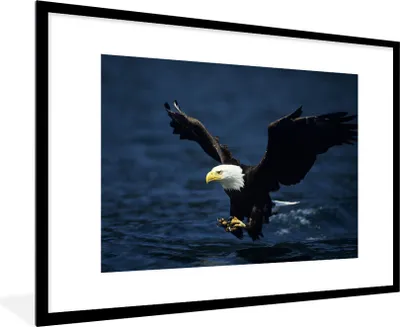 Produktbild von MuchoWow® MuchoWow® Gerahmtes Poster Adler - Nahaufnahme - Wasser 90x60 cm - Poster mit zchwarzem Bilderrahmen - Wanddekoration - Fotos