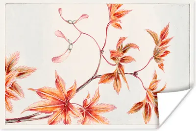 Produktbild von MuchoWow® Poster Blätter - Baum - Ahorn - Vintage - Japanisch 180x120 cm - Fotoplakat