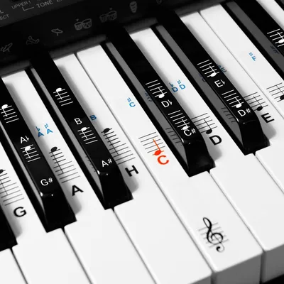 Produktbild von kwmobile Klavier Keyboard Noten Aufkleber - für 49 61 76 88 Tasten Instrumente - Vinyl Piano Sticker für weiße und schwarze Tasten - mit Anleitung