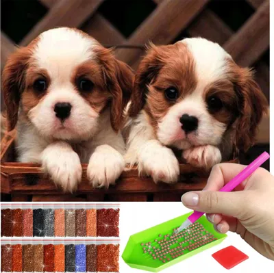A collage showing two puppies and diamond painting supplies.