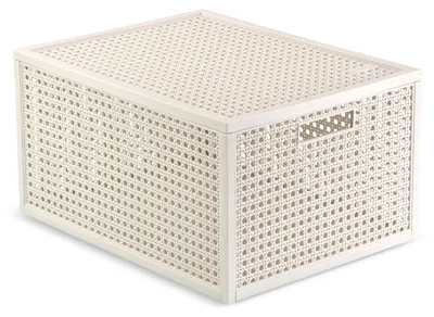 Obrázek produktu pro CURVER KAYA Úložná krabice M 20 l, bílá 115789 8013183158163