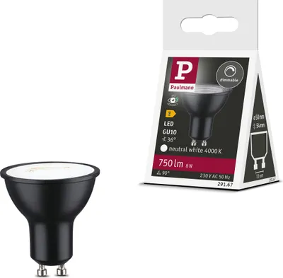 Image de Paulmann Standard 230V Réflecteur LED