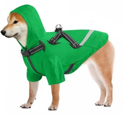 Produktbild von Hundewetterjacke Wasserfest - Hundeponcho - Leichtes Hundewetterzeug - Verstellbare Haustierwetterkleidung - Reflexionsfähig - Mit Kapuze