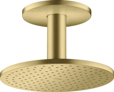 Produktbild von Kopfbrause AXOR 250 1jet Deckenmontage brushed brass brushed brass
