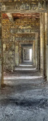 Produktbild von Wallario Poster - Weg durch eine verlassene Ruine, Kunstdruck Größe: 50 x 125 cm