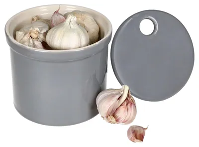 Produktbild von Oskar Vorratsdose S in Grau Knoblauchtopf mit Deckel Aufbewahrungsbox Ton