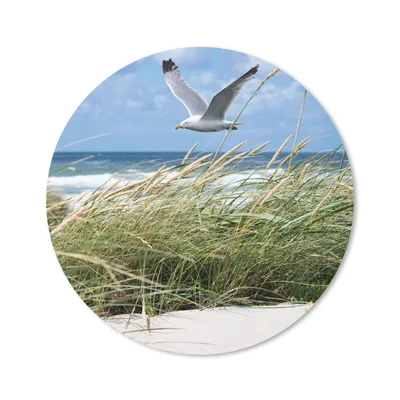 Produktbild von MuchoWow® Mauspad Mousepad Strand - Pflanzen - Vogel 20x20 cm - Mousepads - Maus Mat - Pad - Mausunterlage - Schreibtischmatte