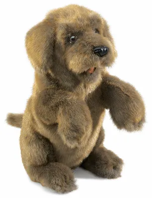 Produktbild von Folkmanis Sitting, Handpuppe, Tier, 1 Stück(e)
