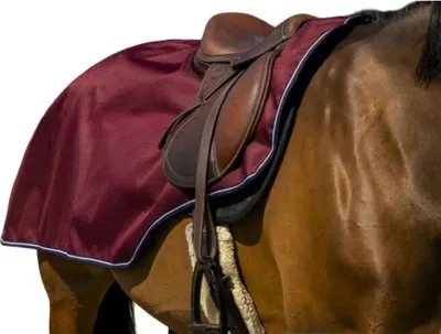 Produktbild von Equithème Tyrex 1200D Fleece Nierendecke