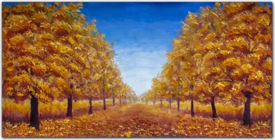 Produktbild von Coloray Bild aus Leinwand 120x60 Leinwand Dekoration - Bäume im Herbst