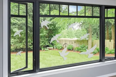 Produktbild von Fensteraufkleber mit Vogelmotiv zur Vermeidung von Vogelschlägen, UV-reflektierend, transparent