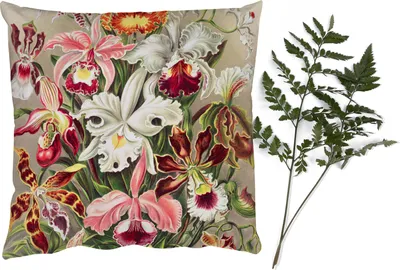 Produktbild von MuchoWow® Zierkissen Sofakissen Wohnzimmer Dekokissen 45x45 cm Blumen - Ernst Haeckel - Jahrgang - Orchidee - Schlafpolster - Polster für das Sofa