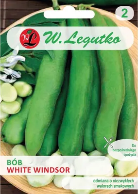 Produktbild von Weiße Windsor Saubohnensamen 50g - W.Legutko
