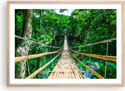 Produktbild von Gerahmtes Poster - Rahmen in heller Eiche - Gehweg Baum Holz Steg - 70x50 cm - Wand Bild - Wanddeko - Wandbilder - Wandposter - Bilderrahmen - Bilder - Kunstdruck - Wandbild - P2NAA70x50-3185
