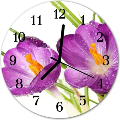 Produktbild von Glasuhr Wanduhr Küchenuhr Echt-Glas 30fi cm Krokusse violett