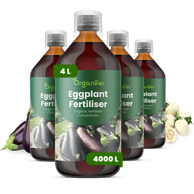 Obrázek produktu pro Baklažán Tekuté Hnojivo 4x1 L – 2-1-8 NPK – Pro Zeleninu – Pro Zdravé Listy & Bujné Plody – Podporuje Kořeny & Vitalitu – Organifer