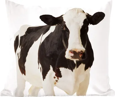 Produktbild von MuchoWow® Zierkissen Sofakissen Wohnzimmer Dekokissen 40x40 cm Kuh - Weiß - Schwarz - Tiere - Foto Kissen - Schlafzimmer Dekoration